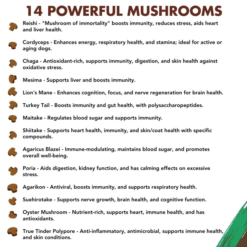 Buy 2 & SAVE - CBD Mushroom Chews For Dogs - Mobility, Calming, Allergy & Immune Support – 14 Mushroom Blend with Turkey Tail, Lion’s Main, Shiitake & Green Lipped Mussels - 60ct / 600MG CBD