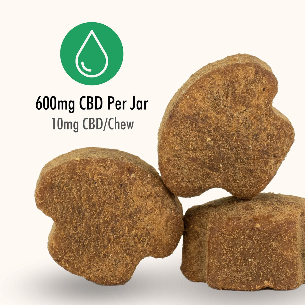 Buy 2 & SAVE - CBD Mushroom Chews For Dogs - Mobility, Calming, Allergy & Immune Support – 14 Mushroom Blend with Turkey Tail, Lion’s Main, Shiitake & Green Lipped Mussels - 60ct / 600MG CBD