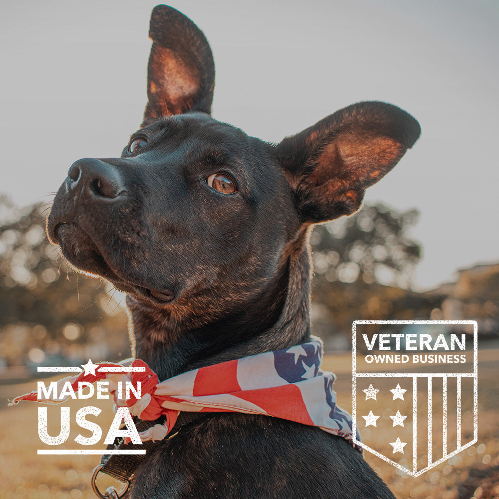 Cannanine Bacon Flavor Soft Chews With Hemp For Dogs - 300 mg. 60 ct.
