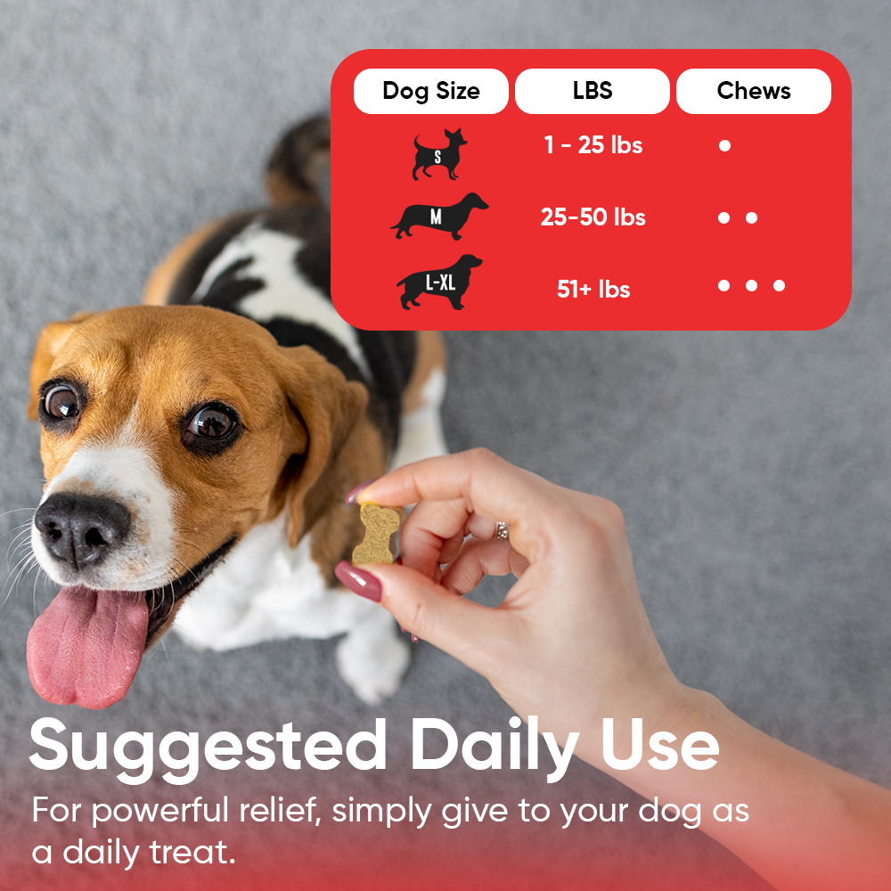 Set of 3 Bacon Flavored Hemp Calming Soft Chews and 3 Allergy & Itch Relief for Dogs with Salmon Oil, Quercetin, Colostrum, Antioxidants and Probiotics