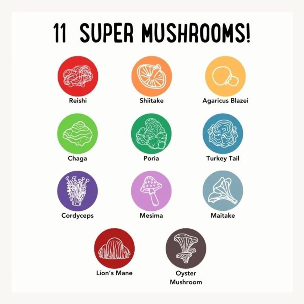 Buy 2 & SAVE - CBD Mushroom Chews For Dogs - Mobility, Calming, Allergy & Immune Support – Super Mushroom Blend with Turkey Tail, Lion’s Main, Shiitake & Green Lipped Mussels - 60ct / 600MG CBD