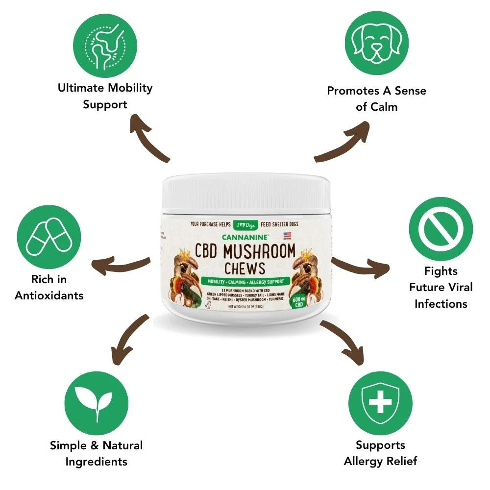 Buy 2 & SAVE - CBD Mushroom Chews For Dogs - Mobility, Calming, Allergy & Immune Support – Super Mushroom Blend with Turkey Tail, Lion’s Main, Shiitake & Green Lipped Mussels - 60ct / 600MG CBD