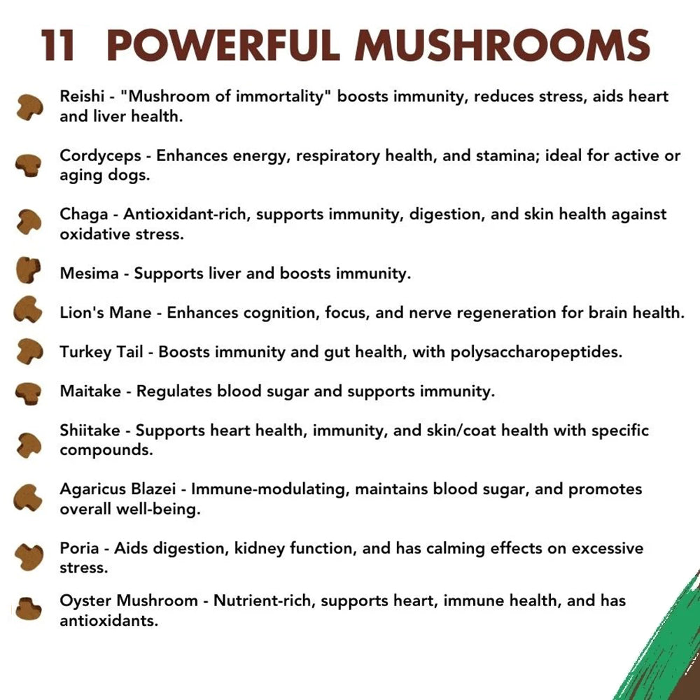 Buy 2 & SAVE - CBD Mushroom Chews For Dogs - Mobility, Calming, Allergy & Immune Support – Super Mushroom Blend with Turkey Tail, Lion’s Main, Shiitake & Green Lipped Mussels - 60ct / 600MG CBD