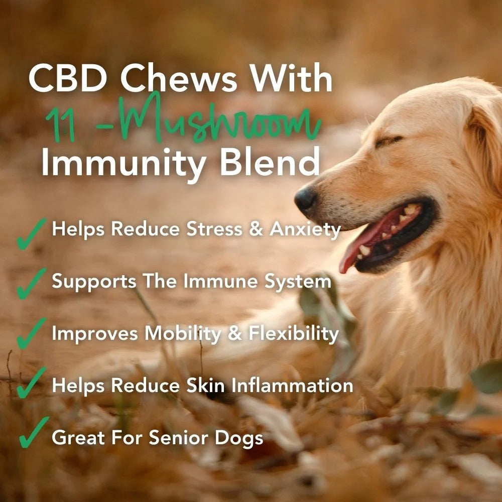 Buy 2 & SAVE - CBD Mushroom Chews For Dogs - Mobility, Calming, Allergy & Immune Support – Super Mushroom Blend with Turkey Tail, Lion’s Main, Shiitake & Green Lipped Mussels - 60ct / 600MG CBD