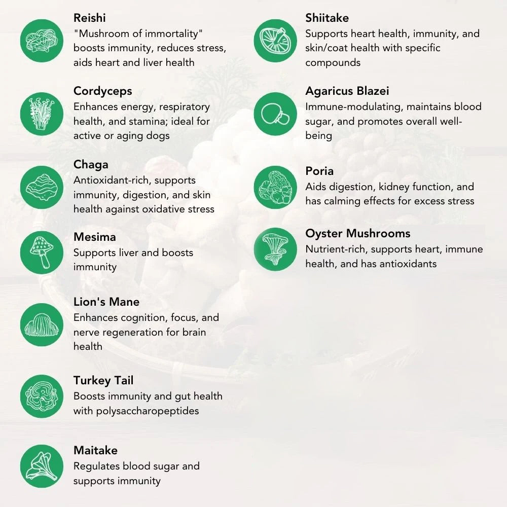 Buy 2 & SAVE - CBD Mushroom Chews For Dogs - Mobility, Calming, Allergy & Immune Support – Super Mushroom Blend with Turkey Tail, Lion’s Main, Shiitake & Green Lipped Mussels - 60ct / 600MG CBD
