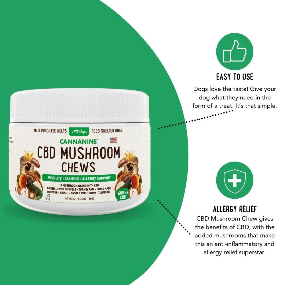 Buy 2 & SAVE - CBD Mushroom Chews For Dogs - Mobility, Calming, Allergy & Immune Support – Super Mushroom Blend with Turkey Tail, Lion’s Main, Shiitake & Green Lipped Mussels - 60ct / 600MG CBD