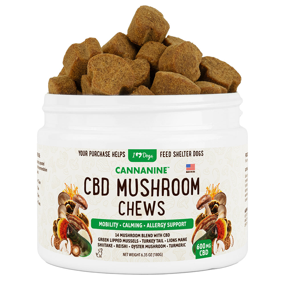 Buy 2 & SAVE - CBD Mushroom Chews For Dogs - Mobility, Calming, Allergy & Immune Support – 14 Mushroom Blend with Turkey Tail, Lion’s Main, Shiitake & Green Lipped Mussels - 60ct / 600MG CBD