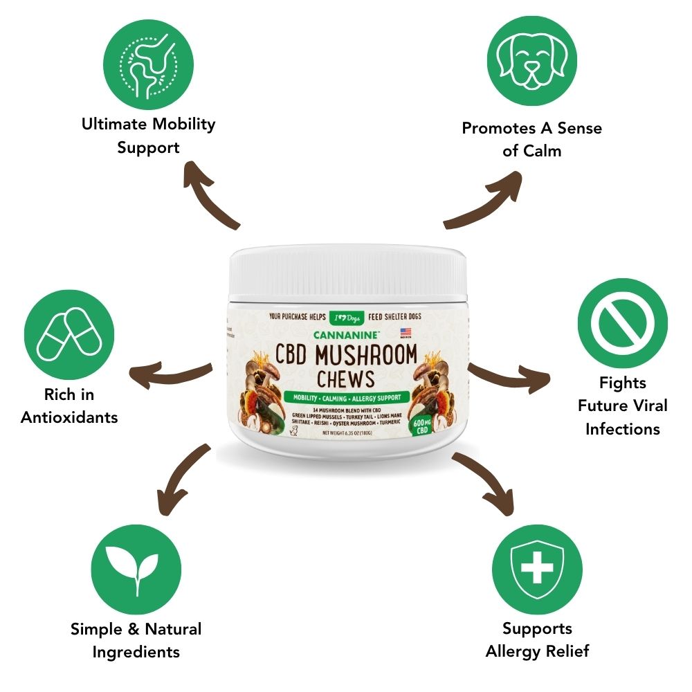 Buy 2 & SAVE - CBD Mushroom Chews For Dogs - Mobility, Calming, Allergy & Immune Support – 14 Mushroom Blend with Turkey Tail, Lion’s Main, Shiitake & Green Lipped Mussels - 60ct / 600MG CBD