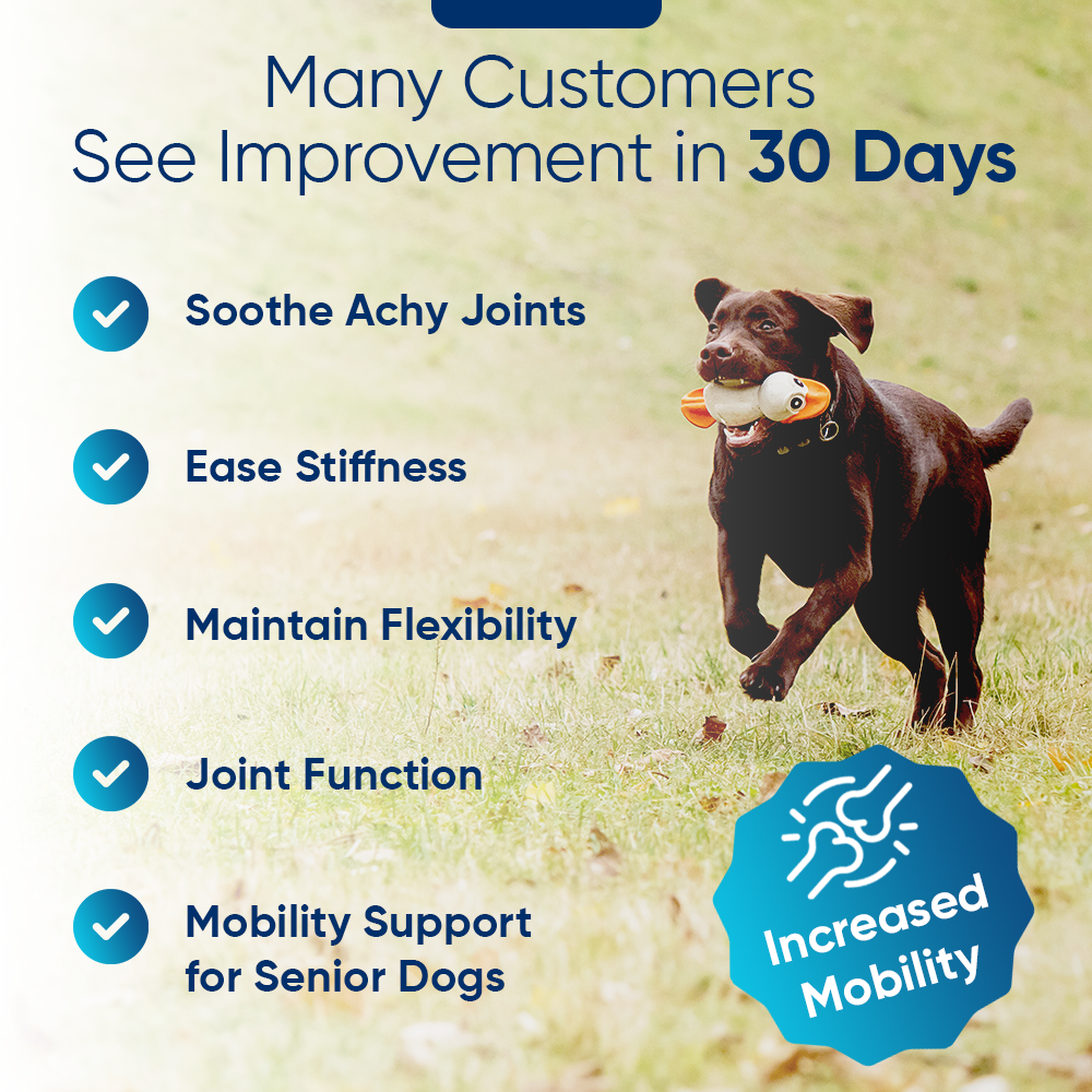 BUY 2 AND SAVE Cannanine Bacon Flavor Soft Chews With Hemp For Dogs - 300 mg. 60 ct.