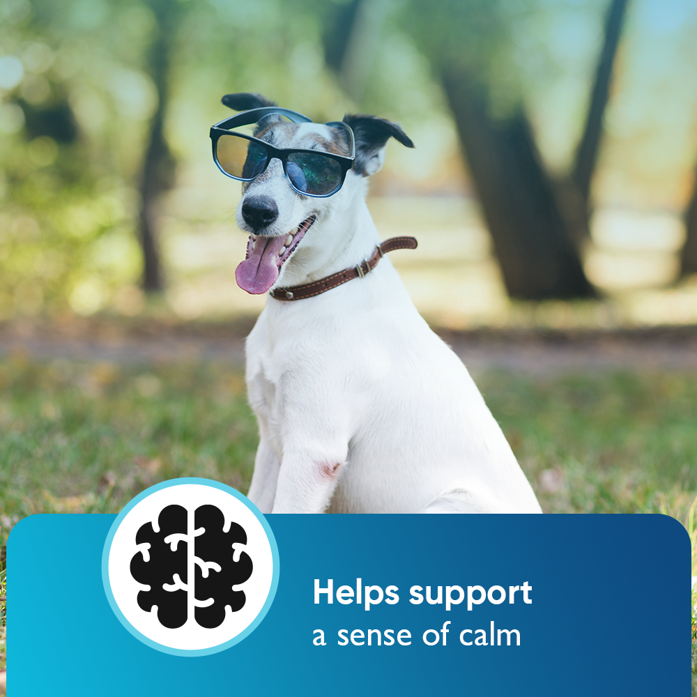 BUY 2 AND SAVE Cannanine Bacon Flavor Soft Chews With Hemp For Dogs - 300 mg. 60 ct.