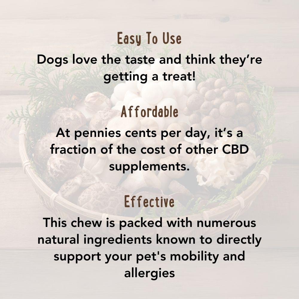 Buy 2 & SAVE - CBD Mushroom Chews For Dogs - Mobility, Calming, Allergy & Immune Support – 14 Mushroom Blend with Turkey Tail, Lion’s Main, Shiitake & Green Lipped Mussels - 60ct / 600MG CBD